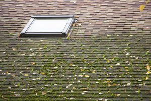 Areas to Inspect on Your Roof