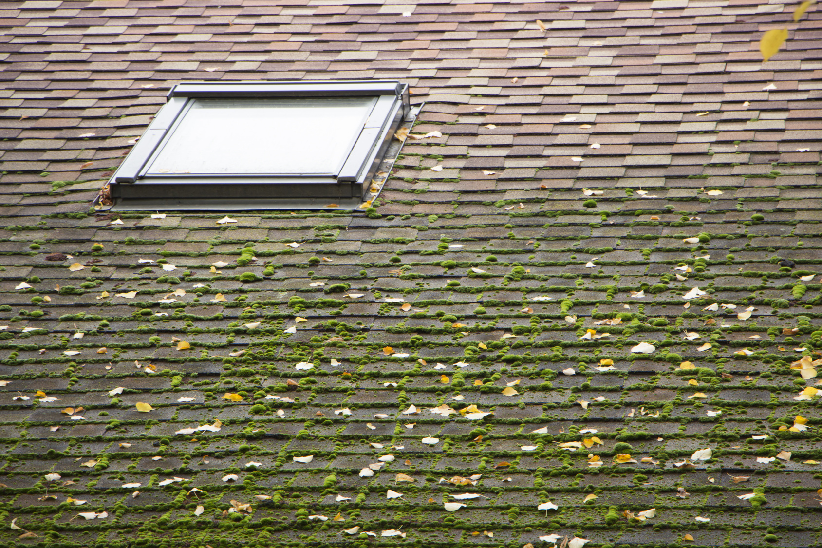 Inspect These Areas Of Your Roof Before Winter