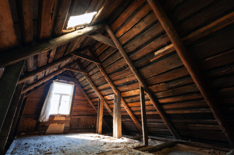 4 Health Concerns of Attic Mold: What You Need to Know